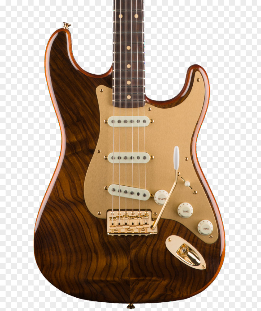 Guitar Fender Stratocaster HM Strat Precision Bass Telecaster Thinline Musical Instruments Corporation PNG