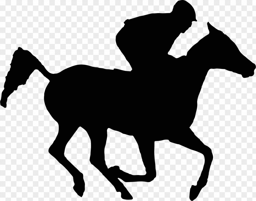 Horse Race Arabian Thoroughbred Racing Silhouette Clip Art PNG