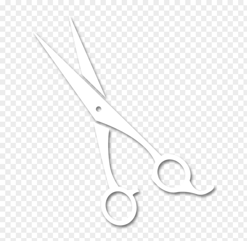 Scissors Hair Clipper Dernoncourt Hairstyle Cosmetologist PNG