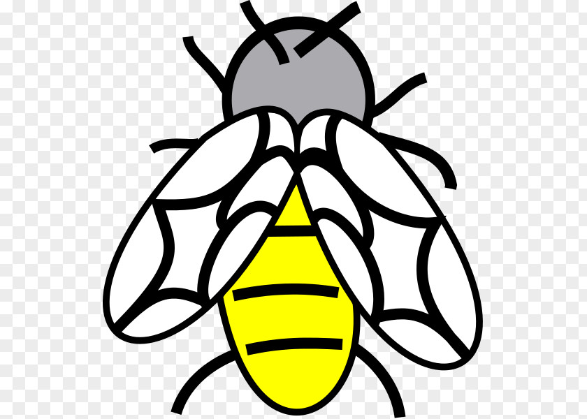 Bee Honey Line Art Cartoon Clip PNG