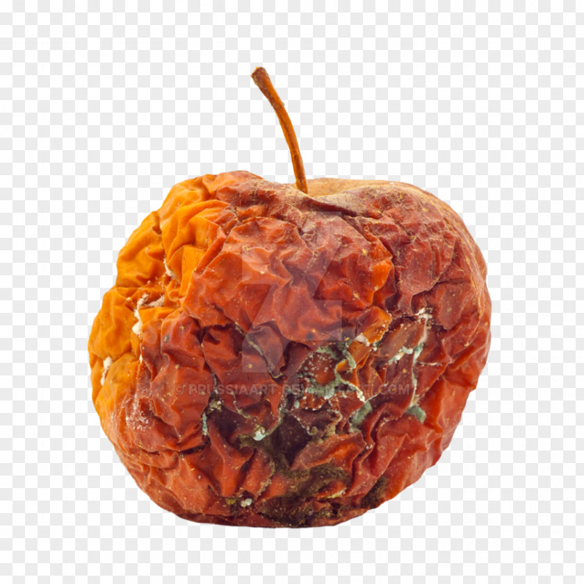 Dry Fruit Stock Photography Apple Decomposition Royalty-free PNG