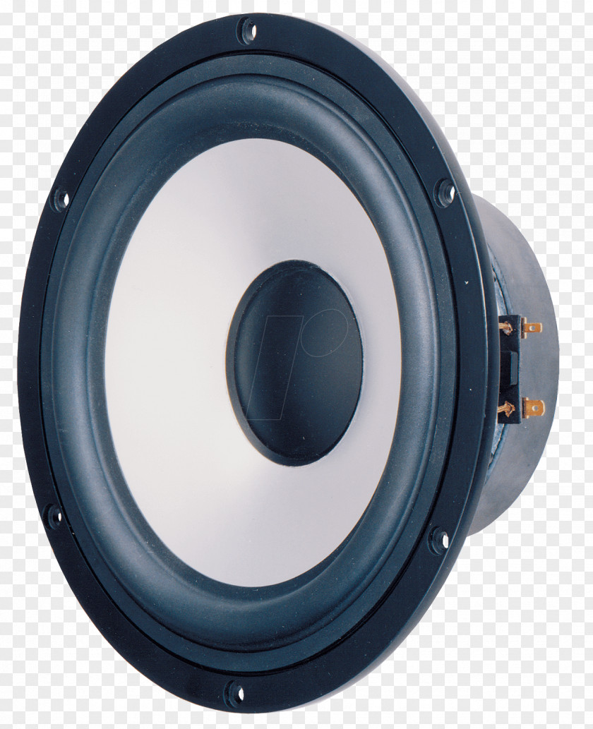 Loudspeaker Visaton High Range 20 Cm 8 Inches Ohm Speaker Full-range PNG
