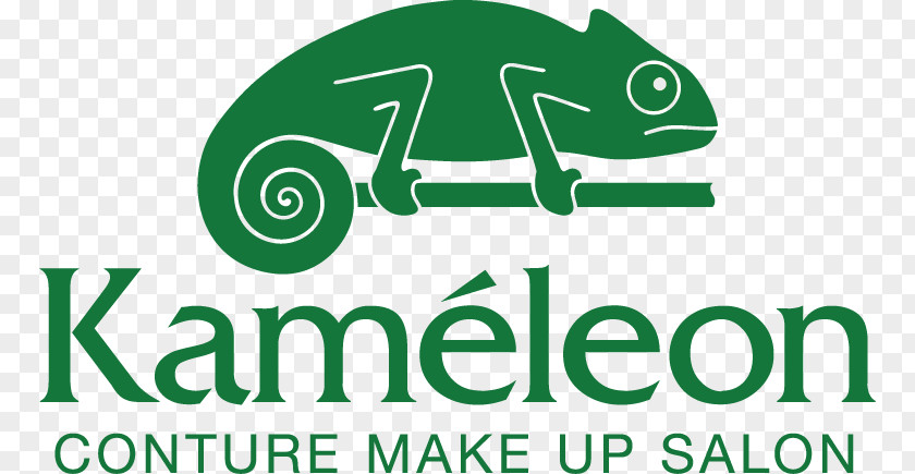 Make Up Logo Tallahassee Museum Road Kaméleon Conture Salon, Permanent Ungarn PNG