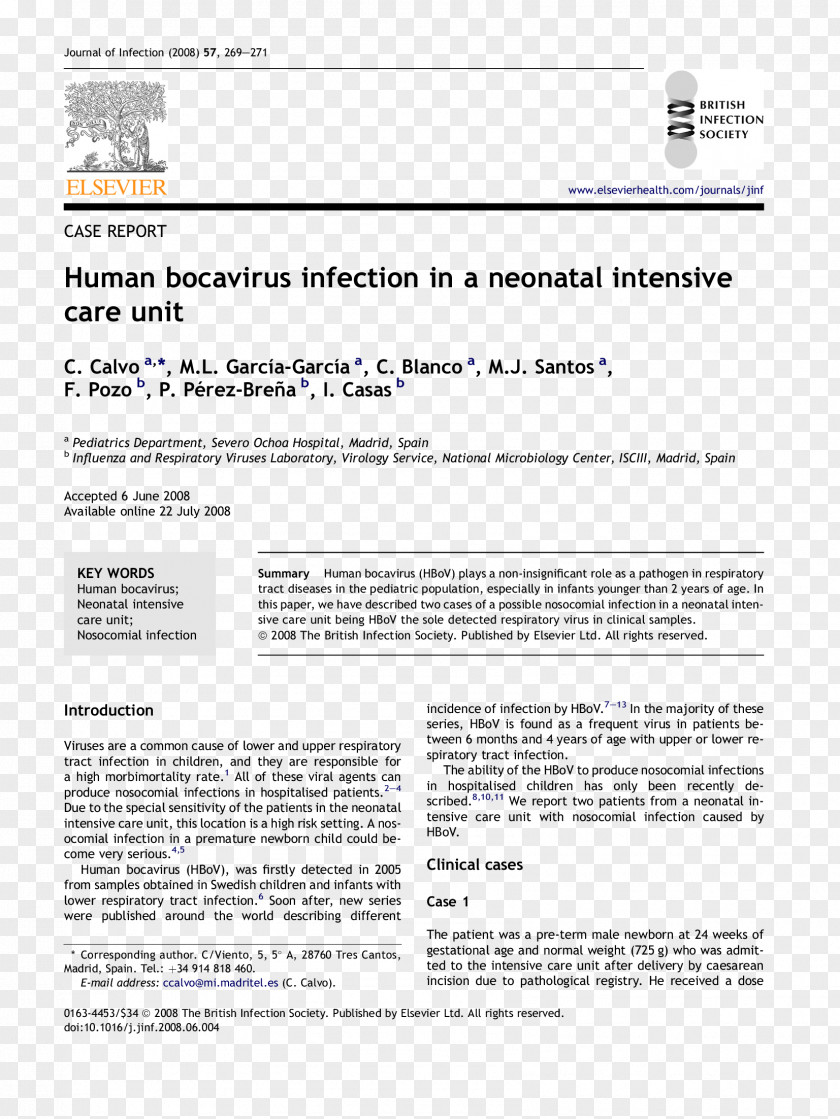 Neonatal Caseificio Del Sole T1強調画像 Rheinwaldhorn Aquila Pilocytic Astrocytoma PNG