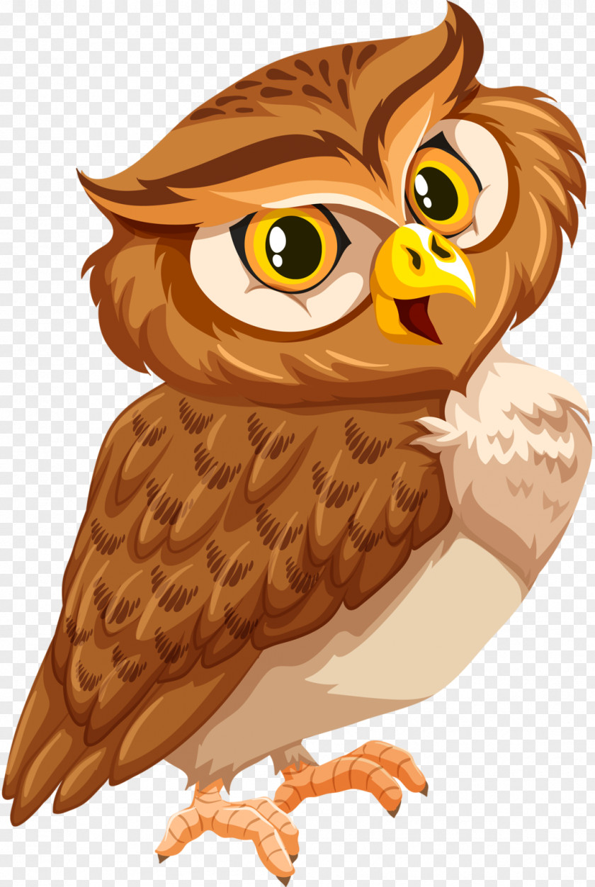 Tawny Owl Bird Clip Art Great Horned PNG