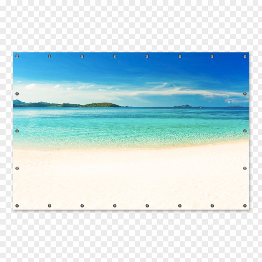 Beach Caribbean Shore Wave Turquoise PNG