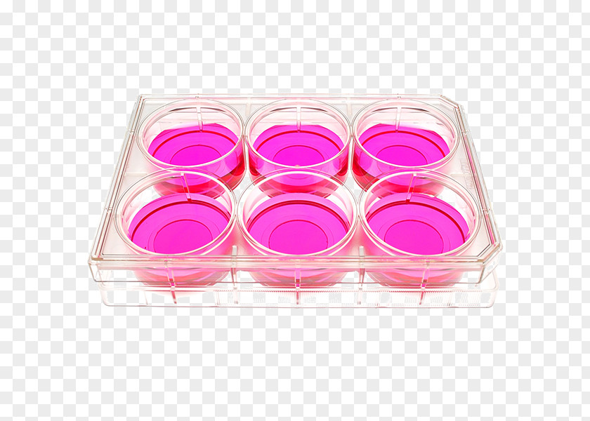 Cell Culture Tissue Glass Cover Slip Plate PNG