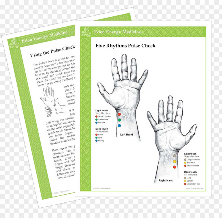 Chart Material Energy Medicine Meridian Alternative Health Services PNG