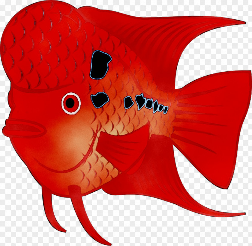 Clip Art Tattoo Illustration Flower Horn Fish PNG