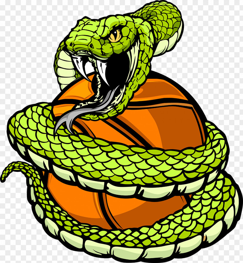 Clipart Snake Clip Art Vipers Reptile Snakes Openclipart PNG