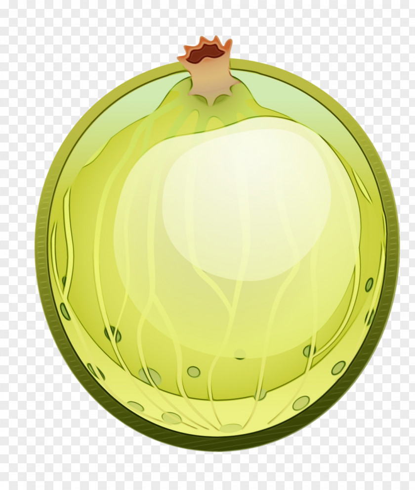 Oval Ornament Green Circle PNG