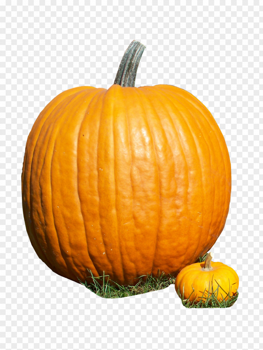 Pumpkin Calabaza Cucurbita Gourd Winter Squash PNG