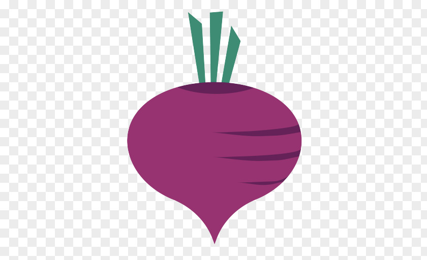 Purple Violet Vegetable Radish Magenta PNG