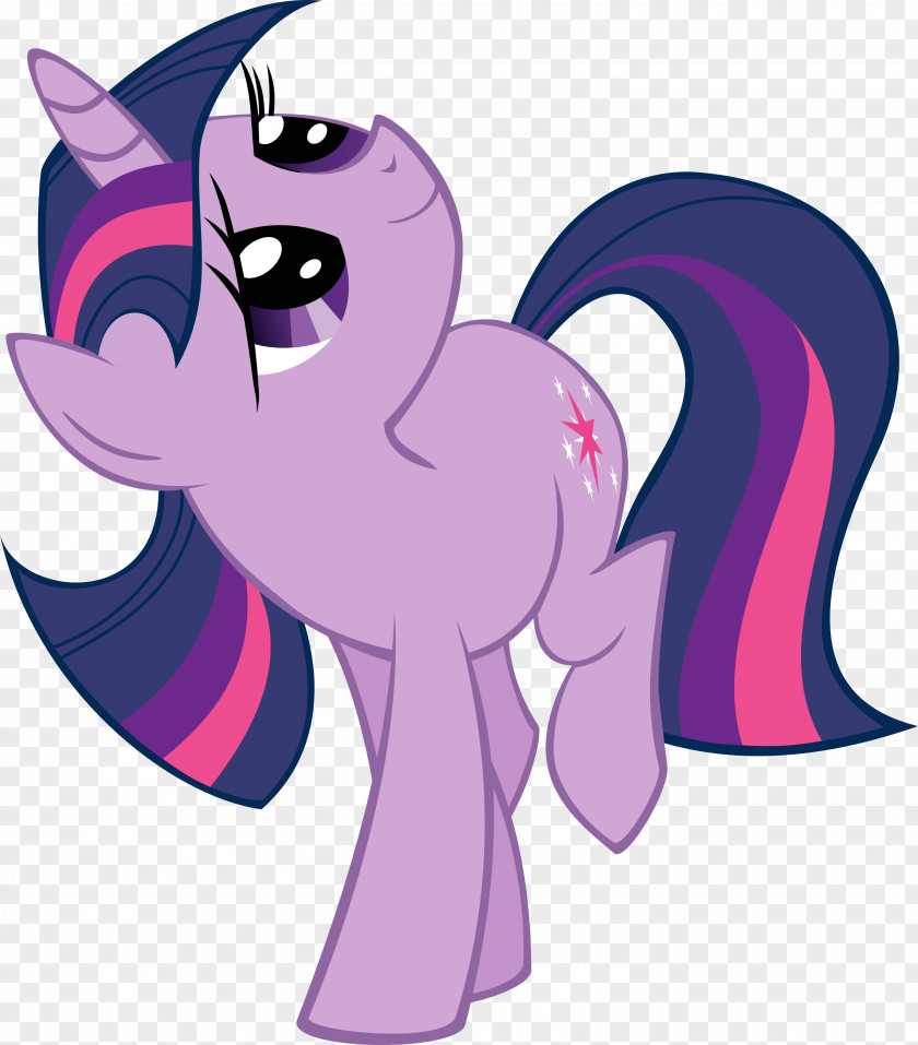 Sparkle Vector Pony Twilight Applejack Clip Art PNG