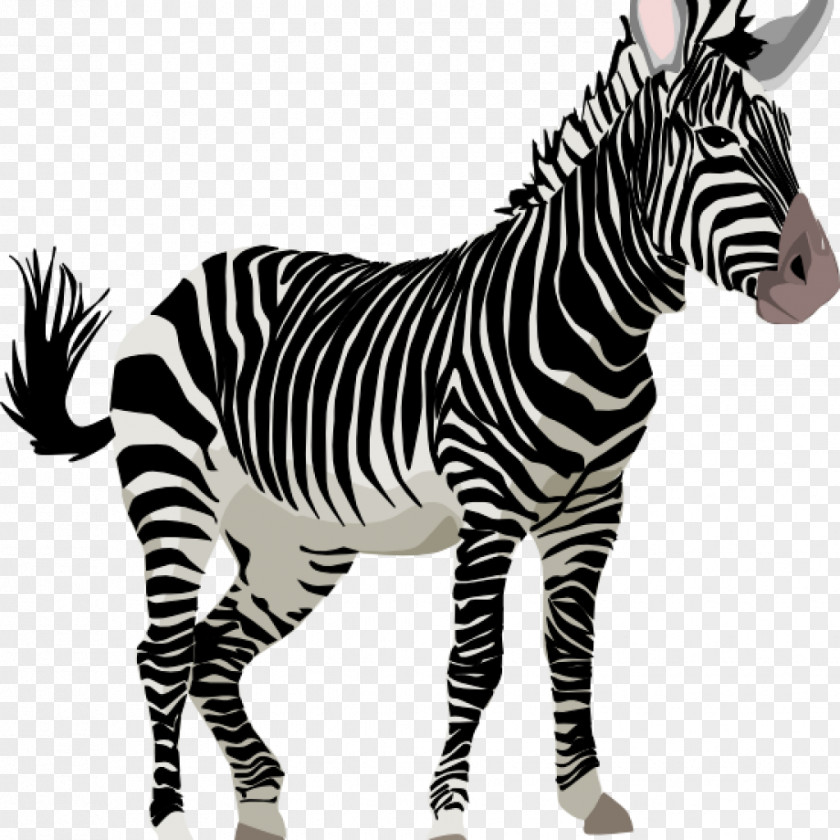 Zebra Clip Art Horse Pillow PNG