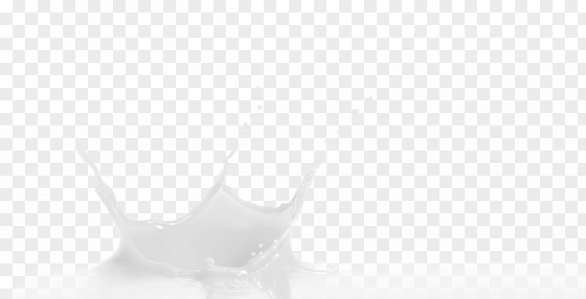 Coating Monochrome Photography White PNG