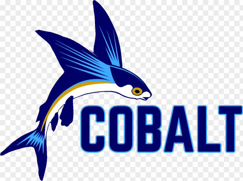 Cobalt United States Organization Company YouTube Business PNG