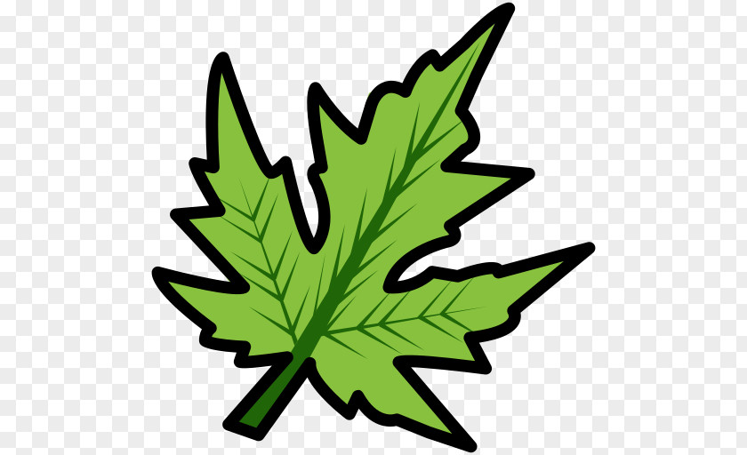 Leaf Green Ecology Clip Art PNG