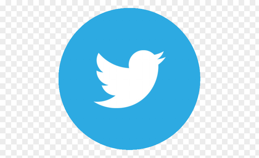 Twitter Picture Icon PNG