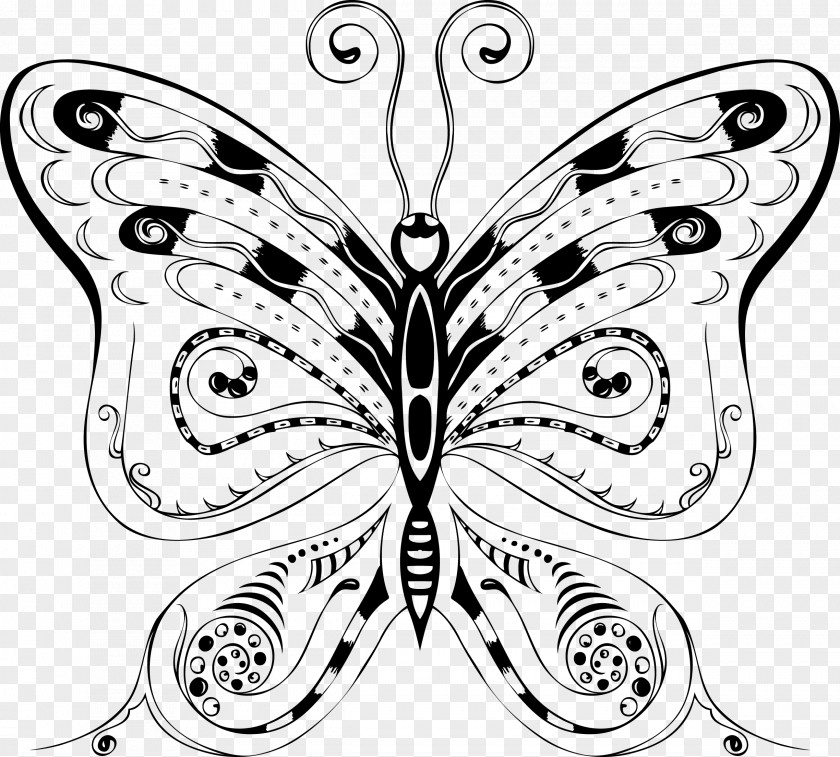 Business Exquisite Album Design Vector Material Butterfly Insect Bee PNG