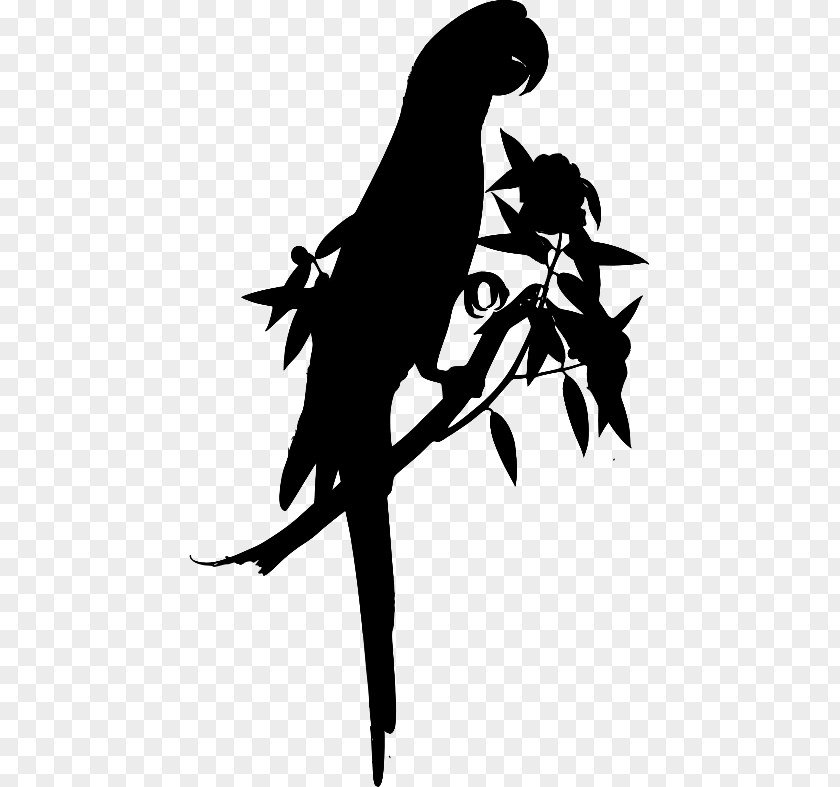 Clip Art Beak Visual Arts Illustration Silhouette PNG