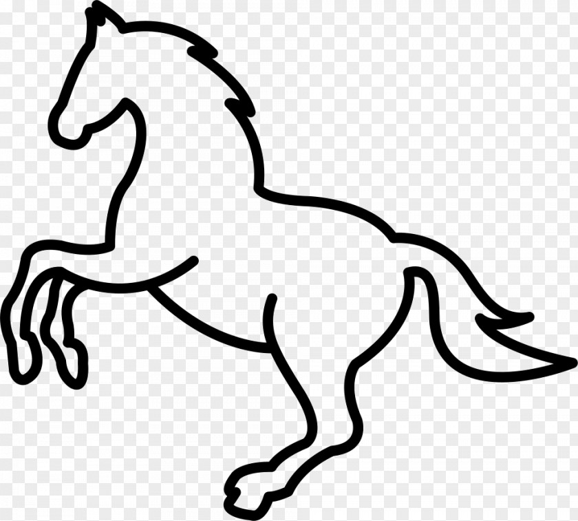 Jumping Tennessee Walking Horse Arabian Equestrian Clip Art PNG