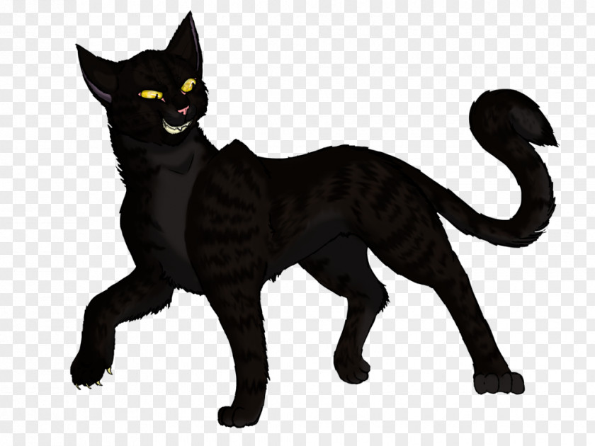 Warriors Russian Blue Siamese Cat Black Darkstripe PNG