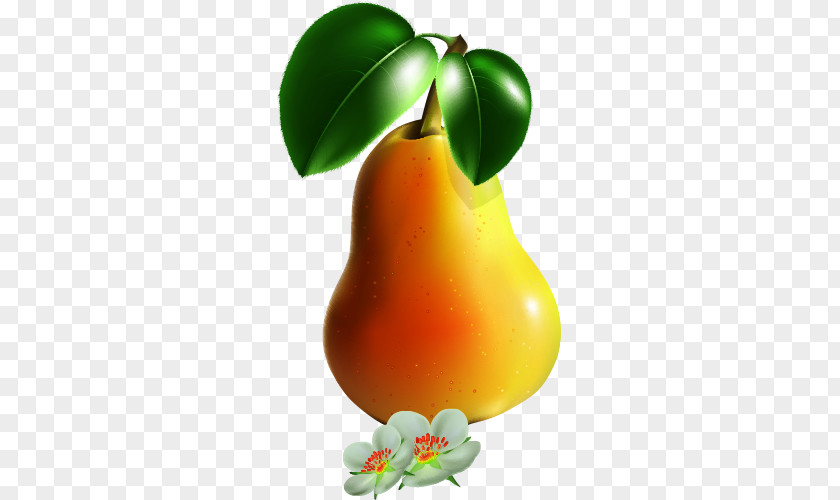 Cartoon Pears European Pear Drawing PNG