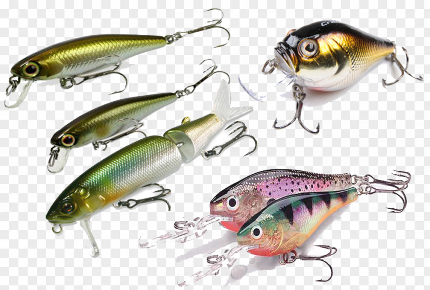 Fishing Plug Tackle Angling Online Shopping PNG