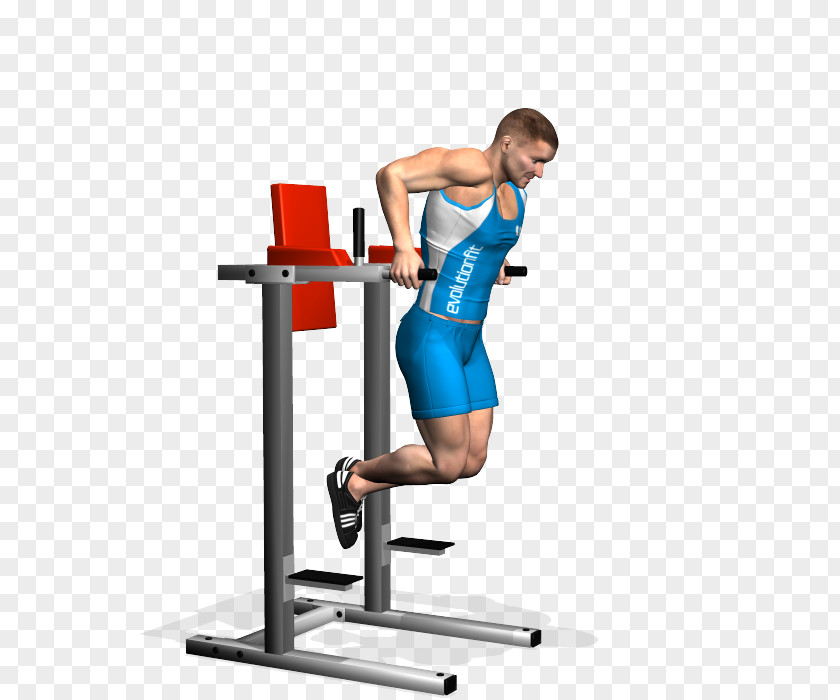 Fly Weight Training Dip Triceps Brachii Muscle Exercise PNG