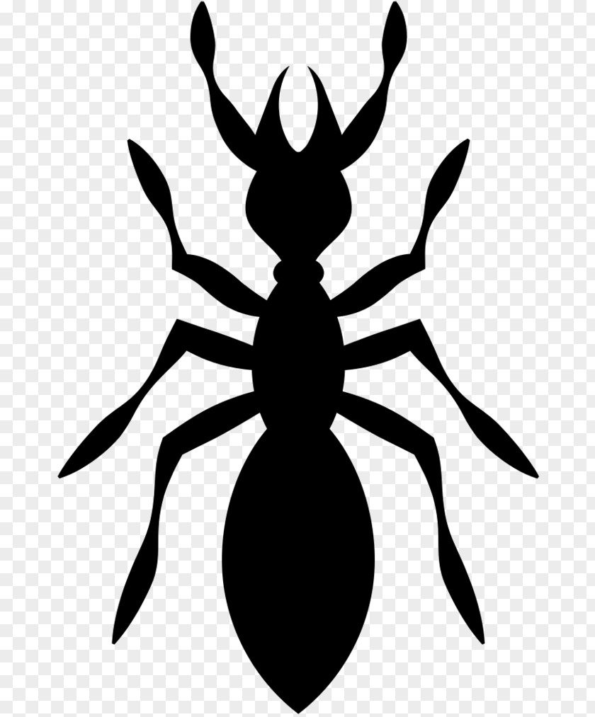 M Insect Pest Control Clip Art Black & White PNG