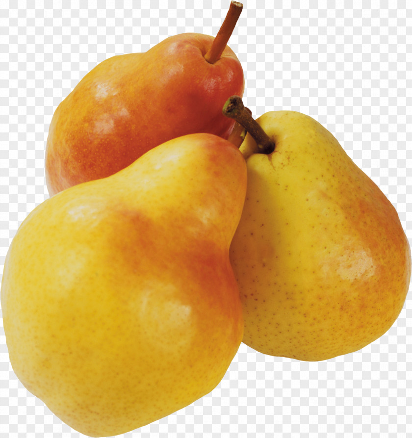 Pear Vegetarian Cuisine Accessory Fruit PNG