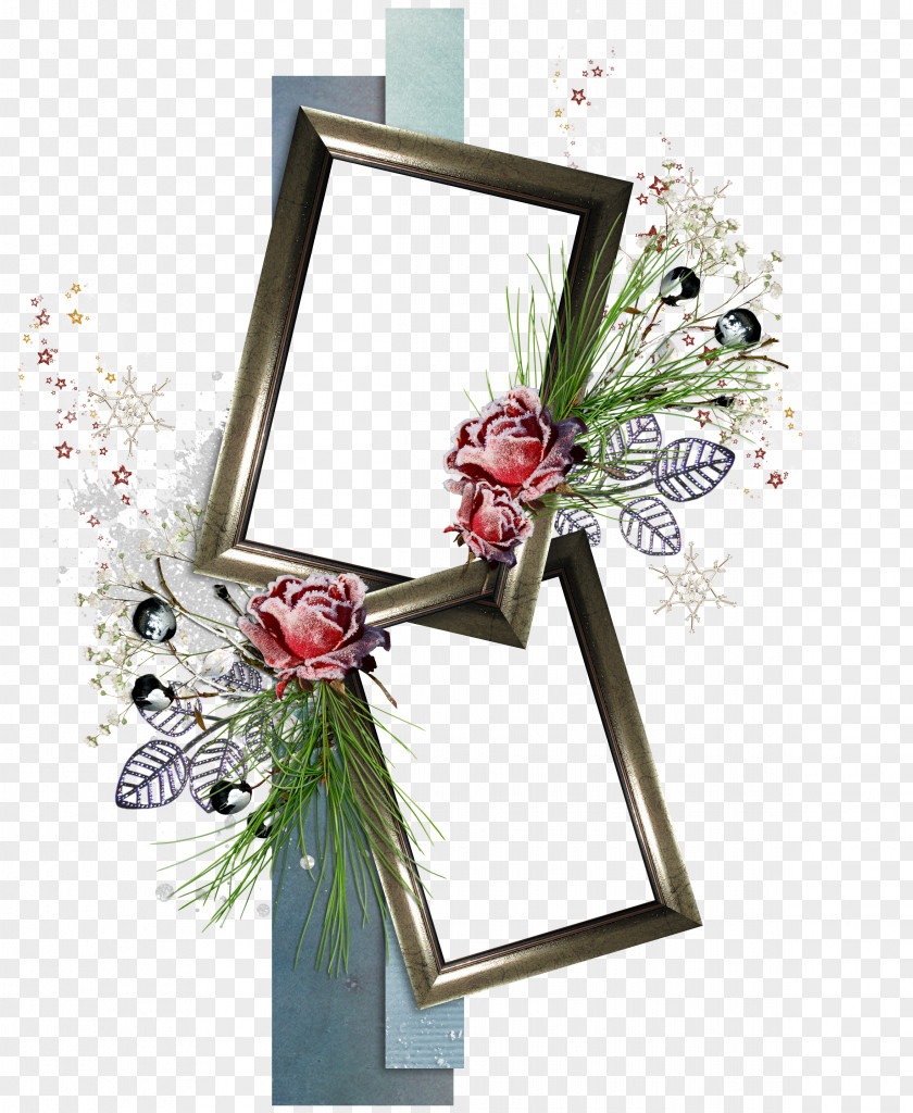 Winter Picture Frames Photography Flower PNG