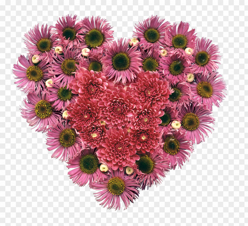 Chrysanthemum Flower Desktop Wallpaper Heart PNG