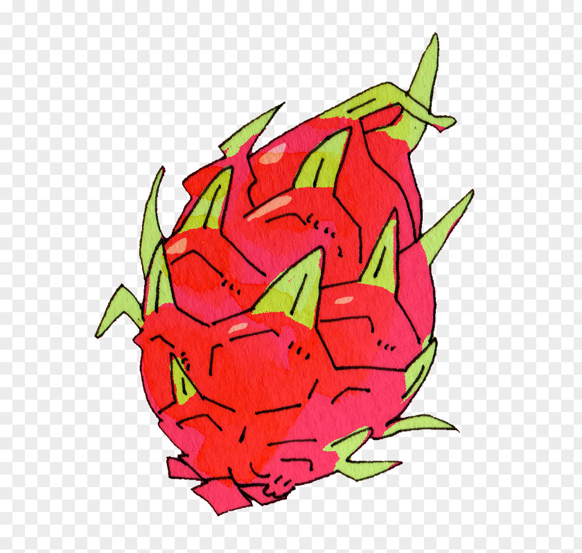 Exotic Fruit Pitaya Apple Clip Art PNG