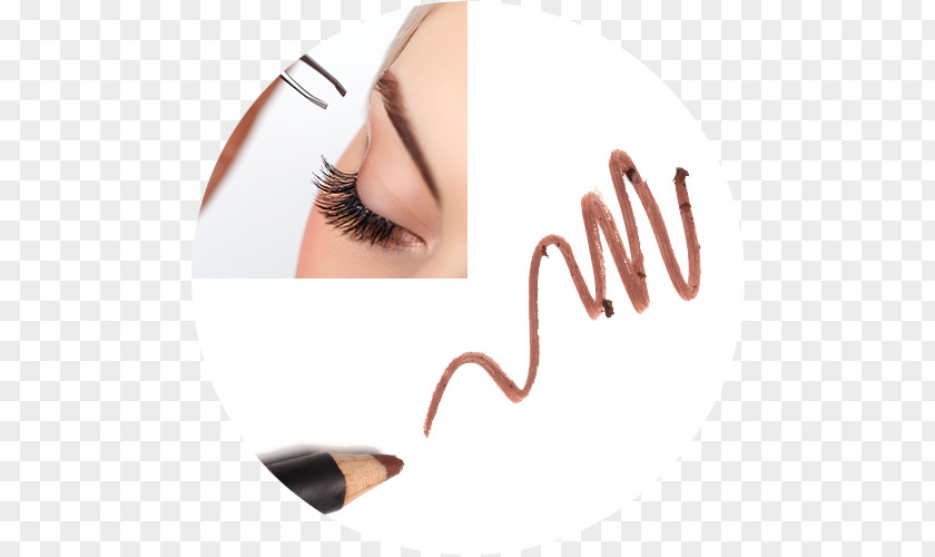 Eyelash Extensions Eye Shadow Liner Eyebrow PNG