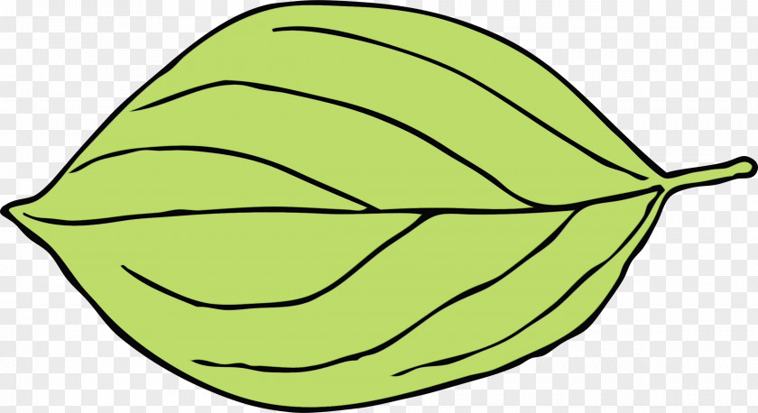 Fruit Plant Leaf PNG