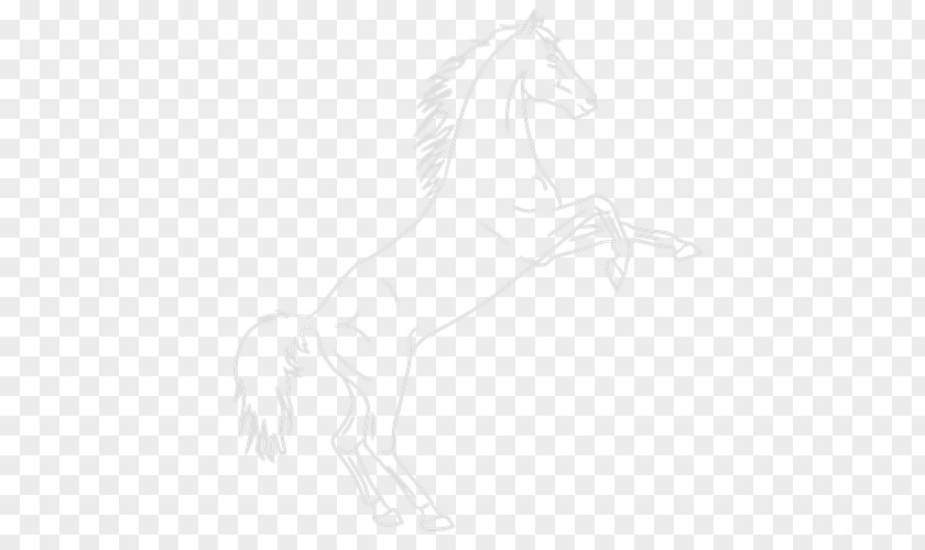 Mustang Mane Stallion Colt Halter PNG