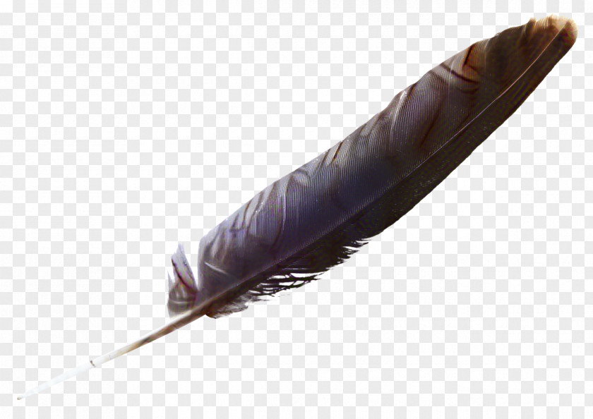 Natural Material Pen Writing Cartoon PNG