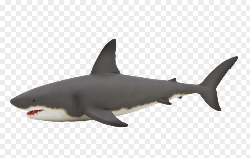 Tiburon Great White Shark Hammerhead Whale Isurus Oxyrinchus PNG