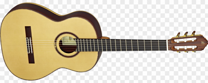 Acoustic Guitar Acoustic-electric Classical Cutaway PNG