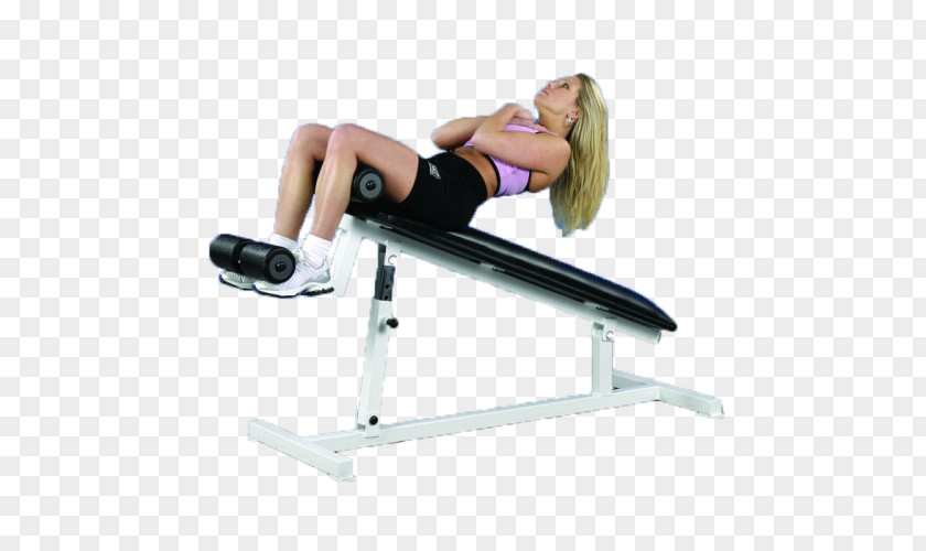 Bench Sit-up Exercise Physical Fitness Crunch PNG