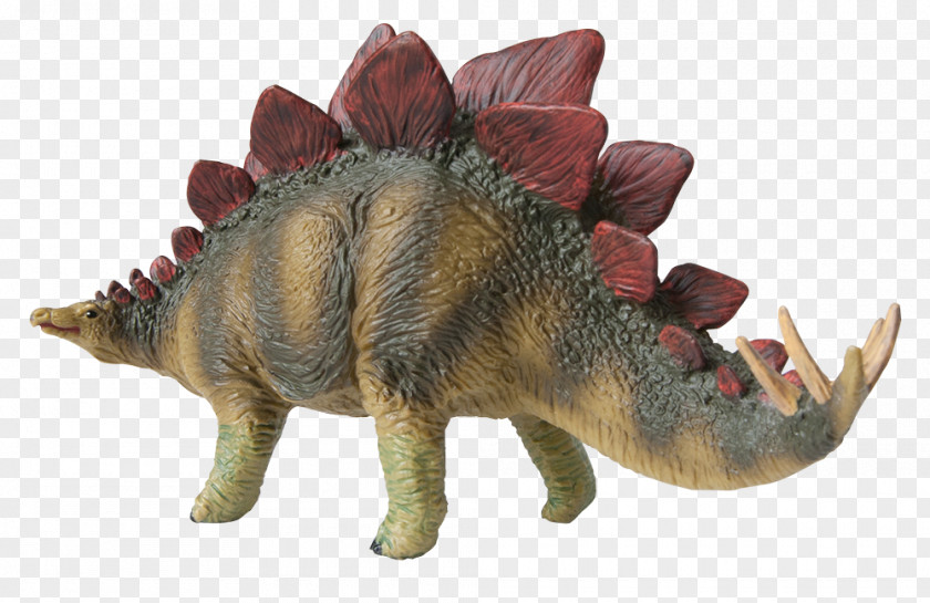 Dinosaur Stegosaurus Spinosaurus Triceratops Carnotaurus PNG