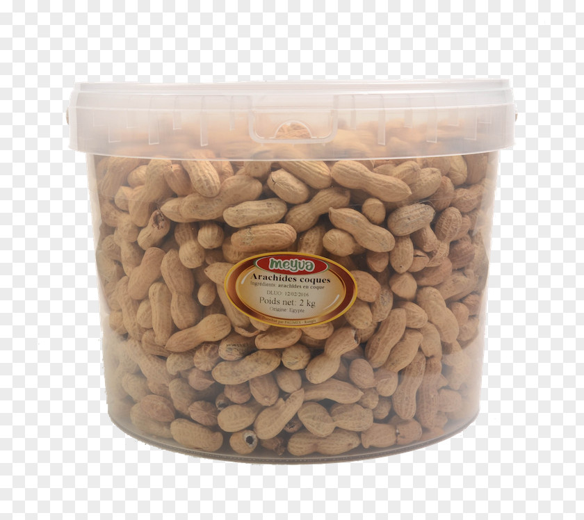 Fruit Sec Mixed Nuts Peanut Commodity Superfood PNG