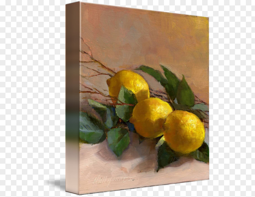 Lemon Leaves Watercolor Painting Still Life Art PNG