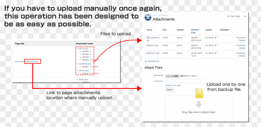 Line Organization Angle PNG