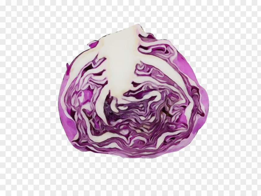 Magenta Red Cabbage Violet Purple Vegetable PNG