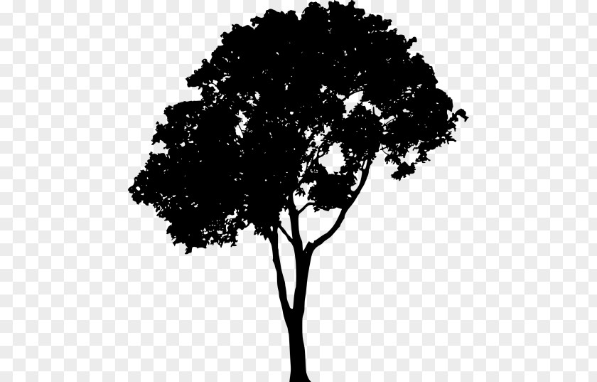 Tree Clip Art PNG