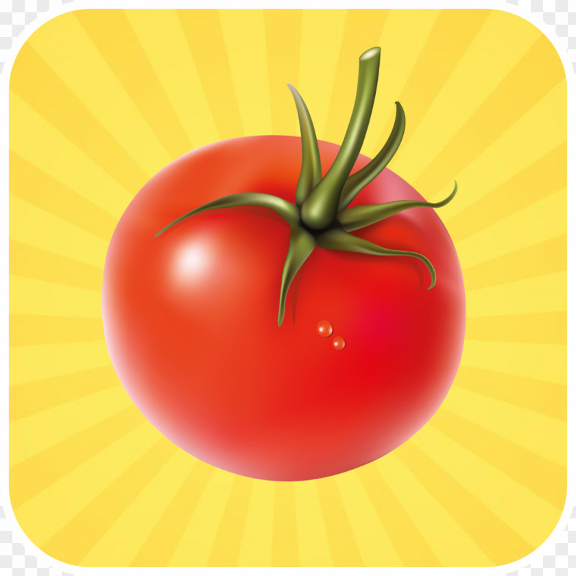 Bright Red Tomato Vegetarian Cuisine Vegetable Pasty PNG