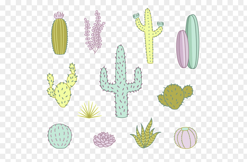 Cartoon Cactus Succulents Cactaceae Succulent Plant Drawing Clip Art PNG